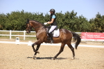 SBM_012015