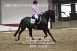 BPP_9329