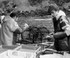 HCF015: Working the pots