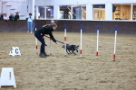 SBM_005998