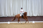 SBM_019266