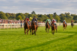 230923-Race 7-Two Brothers-7172