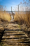Jetty, Lydney Harbour