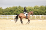 SBM_001854