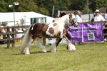 SBM_08782