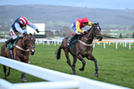 Race 8 portfolio
