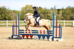 SBM_000976
