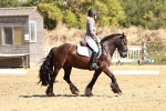 SBM_001476