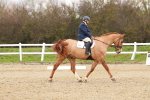 SBM_001616