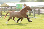 SBM_00465