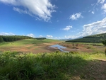 Blueberry Heights, Sth Africa