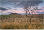 The Mountain and the Tree, Slemish (IMG0712)