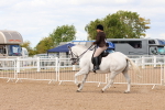 SBM_15496