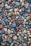 Tarbet Ness shore detail 2
