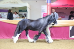 SBM_20973