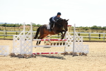 SBM_006798