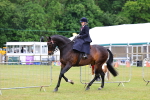 SBM_02946