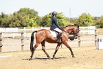 SBM_001497