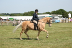 SBM_09190