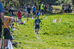 The Finish-1441