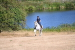 WJ6_7018