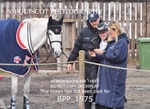 BPP_1575