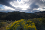 Photo of the Week 10/17/2011