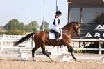 SBM_01783
