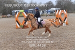 BPP_4438