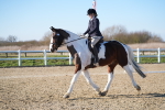 SBM_004383