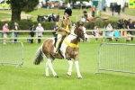 SBM_42263