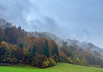 Slovenia iPhone - 162