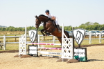 SBM_000656