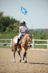 SBM_009966