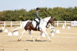 SBM_017458