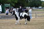WJ7_7863