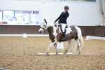 SBM_000313