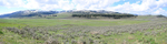Americas Serengeti-Lamar Valley_Panorama
