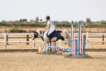 SBM_000691