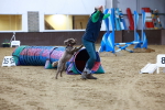 SBM_006272