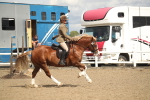 SBM_14557