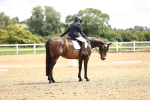 SBM_000591