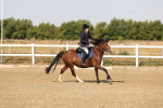 SBM_000180