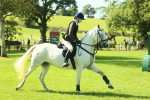 SBM_39273