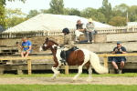 SBM_68246