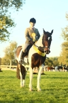 SBM_56529