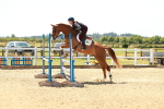 SBM_006493