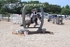 BPP_8741
