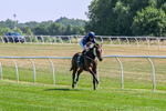 150726-Race 3-Lady Dublin-3183