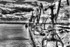 Archangel commercial docks and cranes 2 HDR bw